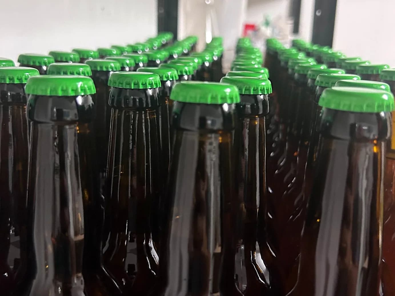 Bottiglie di birra artigianale Birra Fog.